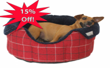 National Pet Month